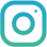 Instagram Icon