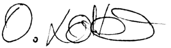 Unterschrift - Vita von Dr. med. Lotter 