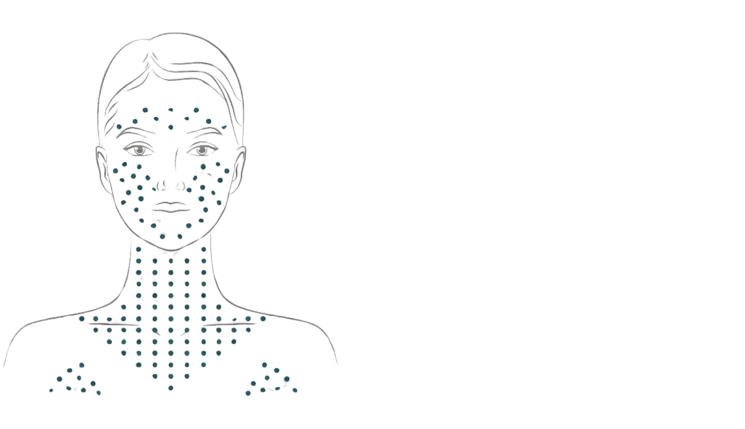 Polynukleotide: Schaubild Anwendungsbereich Philart Gesicht Hals Dekolleté