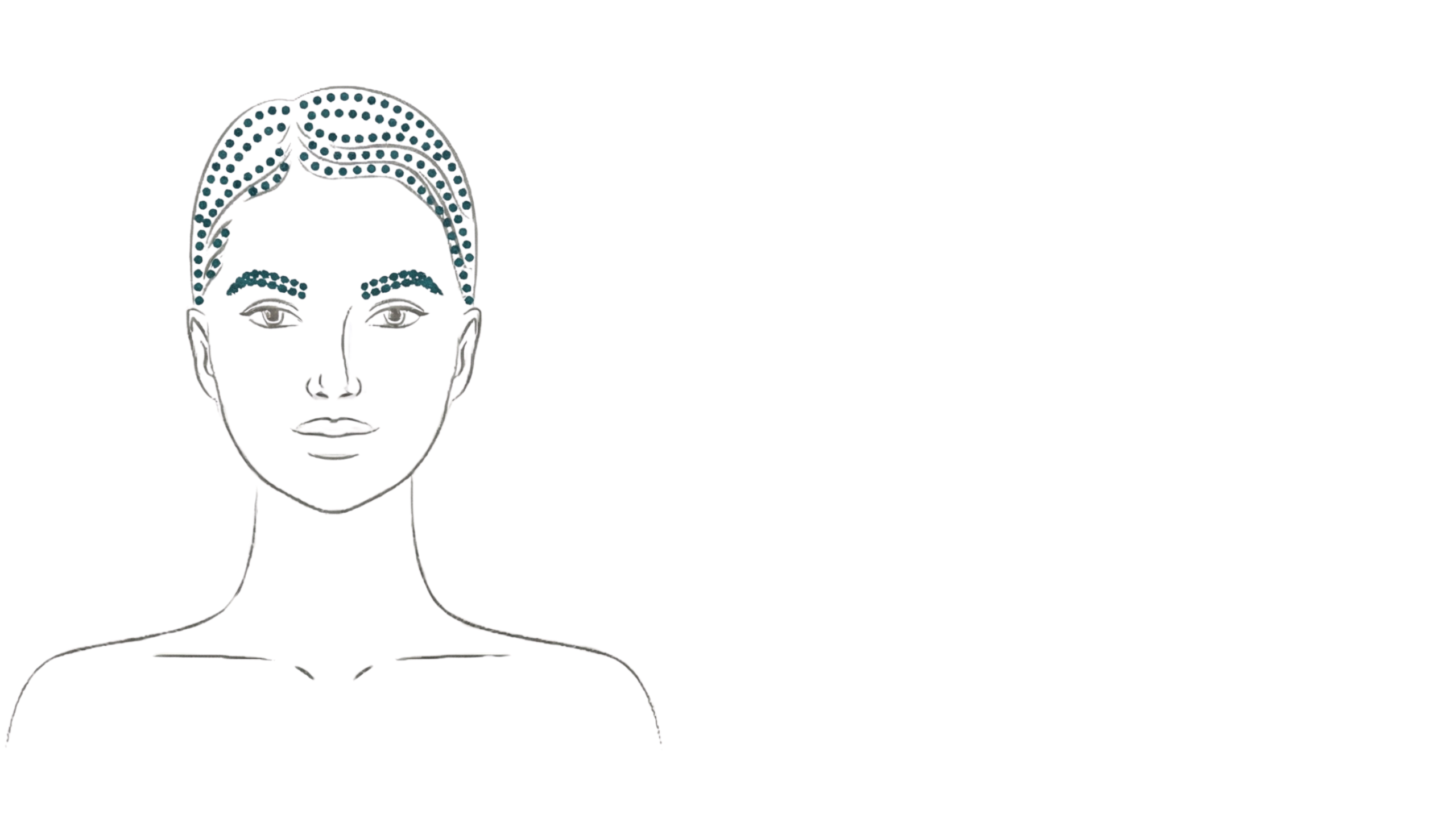 Polynukleotide: Schaubild Anwendungsbereich Philart Hair Kopfhaut und Augenbrauen